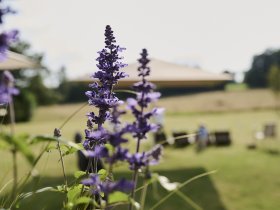 Geniessertage im Hunsrück  inkl. 3 Gang Halbpension (4 Nächte)