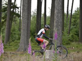 Geniessertage im Hunsrück  inkl. 3 Gang Halbpension (4 Nächte)
