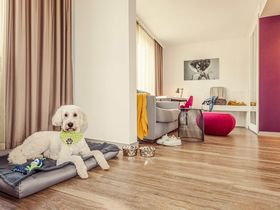 Der Wau-Faktor im Hotel Indigo - Hunde sind herzlich willkommen - 3 Tage