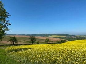 StadtLIEBE 4=3 - Erholung zwischen Harz & Weserbergland