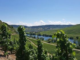 Ostern an der Mosel - Köstliches für Feinschmecker
