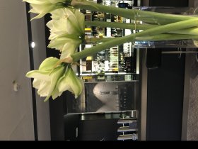 Verwöhnwochenende an der Romantischen Straße im Süden von Augsburg