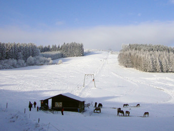 Bild 26 von 26