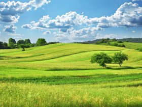 Kleine Auszeit im Land der tausend Berge | 5 Tage Sauerland inkl. Vollpension & Wellness