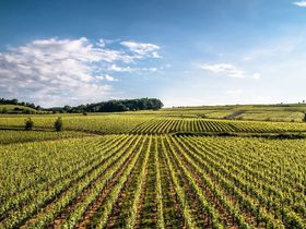 Die Bodenseewoche in Hagnau