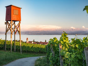 Relax Tage am Bodensee mit Therme Meersburg