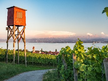 Die Bodenseewoche in Hagnau