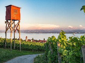 Die Bodenseewoche in Hagnau