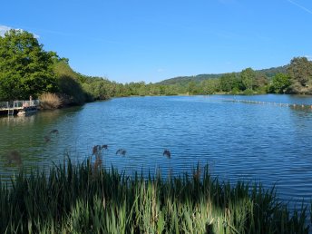 Die Natur der schwäbischen Alb ruft und lädt zum Wandern, Radeln oder Relaxen ein.. 