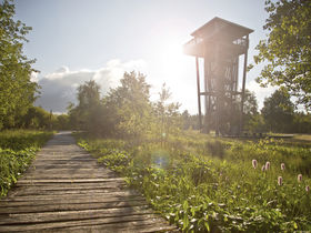 6 Tage „Das gönn ich mir“