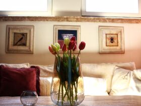 Auszeit in Trier an der Mosel 2026