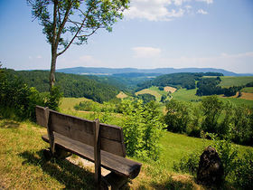 Hallo Schwarzwald!