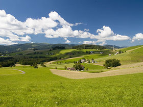 Hallo Schwarzwald!