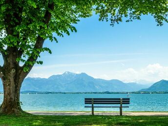 Bild 13 von 18