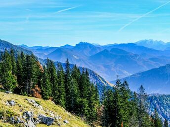 Bild 17 von 18