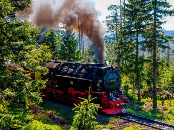 Erlebnisreiche Entdeckertage im Harz mit der HarzCard