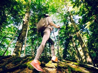 Wander-Erlebnis im Harz - 3 Tage am Fuße des Brockens in Schierke 