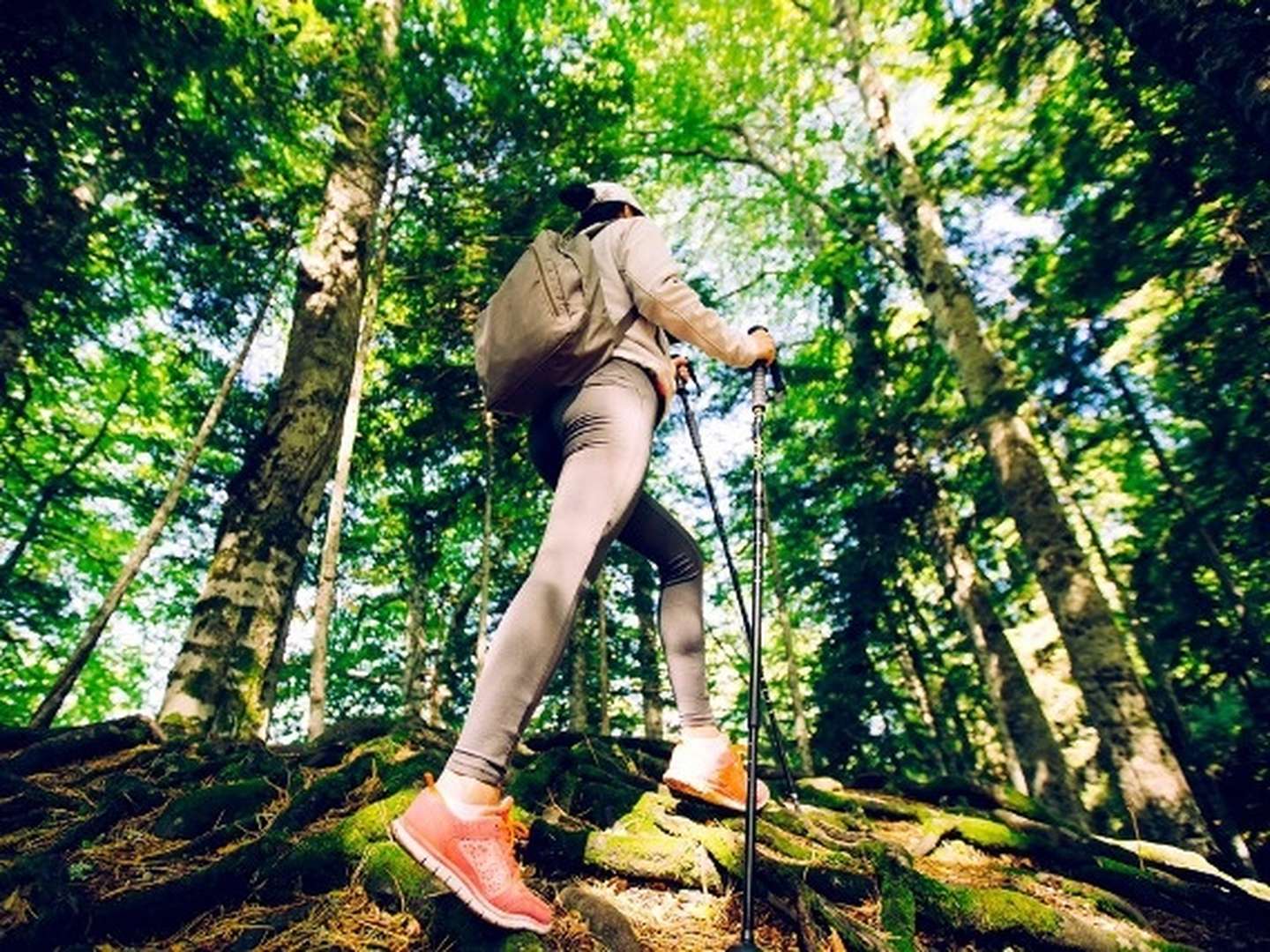 Wander-Erlebnis im Harz - 3 Tage am Fuße des Brockens in Schierke 