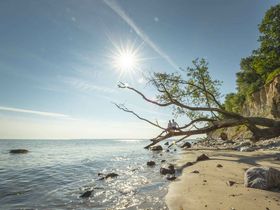 Champagner-Träume - Genießerurlaub in Lübeck