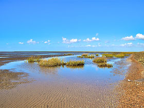 5 Tage...Liebe liegt in der Nordseeluft