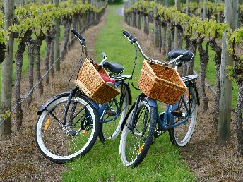 Himmelfahrt 2025 - 4 Tage an die Mosel