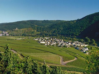 Himmelfahrt 2025 - 4 Tage an die Mosel
