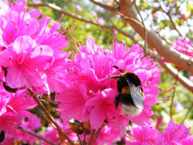 Ostern in der Ostseewoge 4 Tage