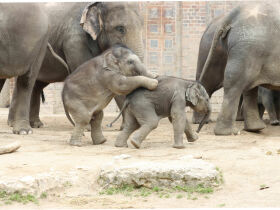 Entspannung & Sightseeing in Leipzig | 3 Tage