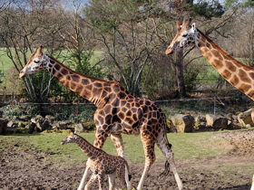 Entspannung & Sightseeing in Leipzig | 3 Tage