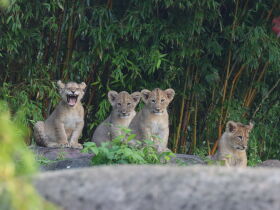 Entspannung & Sightseeing in Leipzig | 3 Tage