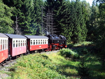 Erlebnisurlaub im Naturpark Harz - 6 Tage  inkl. Halbpension