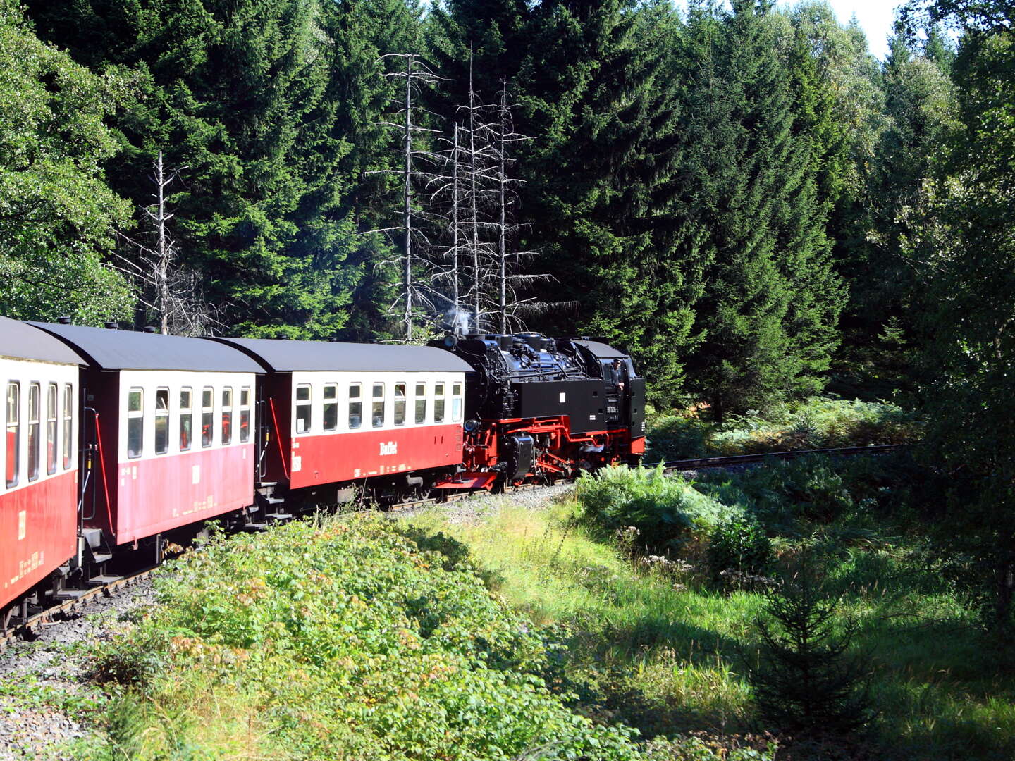 Erlebnisurlaub im Naturpark Harz - 6 Tage  inkl. Halbpension
