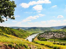 4 Kennenlerntage an der Mosel inkl. Wein & Gutschein Schiffsrundfahrt