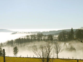 Bild 16 von 37