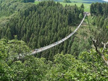 Urlaub beim Winzer an der Mosel 