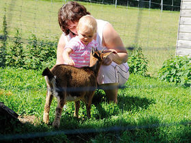 Mini-Weeks im happy.hirsch, Kleiner Preis für große Abenteuer