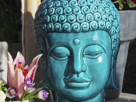 Herrchen & Frauchen mit ihrem Liebling am Ostseestrand - Hundearrangement