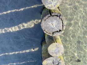 Herrchen & Frauchen mit ihrem Liebling am Ostseestrand - Hundearrangement