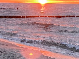 Herrchen & Frauchen mit ihrem Liebling am Ostseestrand - Hundearrangement