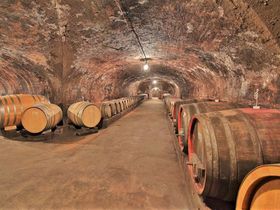 Weihnachtsmarktzauber in Rheinhessen