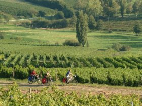 Pfalz-Wander-Wochen im Gutshof Ziegelhütte | 8 Tage inkl. HP & PfalzCard