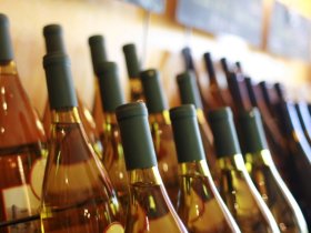 Pfalz-Wander-Wochen im Gutshof Ziegelhütte | 8 Tage inkl. HP & PfalzCard