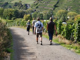 Pfalz-Wander-Wochen im Gutshof Ziegelhütte | 8 Tage inkl. HP & PfalzCard