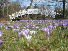 Silvester-Erlebnistage im Wörlitzer Gartenreich mit Silvestergala