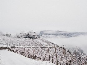 Winterurlaub an der Mosel 4 Tage inkl. 4-Gang Genuss-Menü