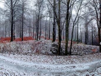 Bild 16 von 34