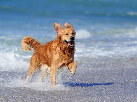 Familienauszeit am Granzower See inkl. Minigolf 