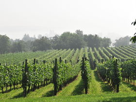 «Inselglück» - Romantik pur auf der Insel Reichenau