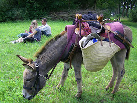 5 Tage Kurzurlaub  am Niederrhein inkl. 3-Gang-Menü