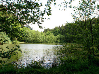 Bild 22 von 34